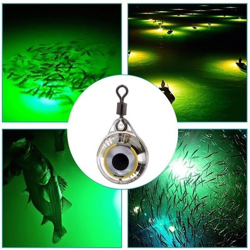 FLYSAND اضواء صيد السمك ليلة ا - مراجعة Fishing Lure Accessories وسعره